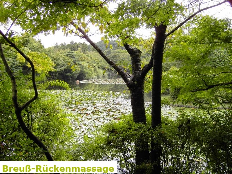 Breuss-R&uuml;ckenmassage - Energetische Heilpraxis Reiki-Fit